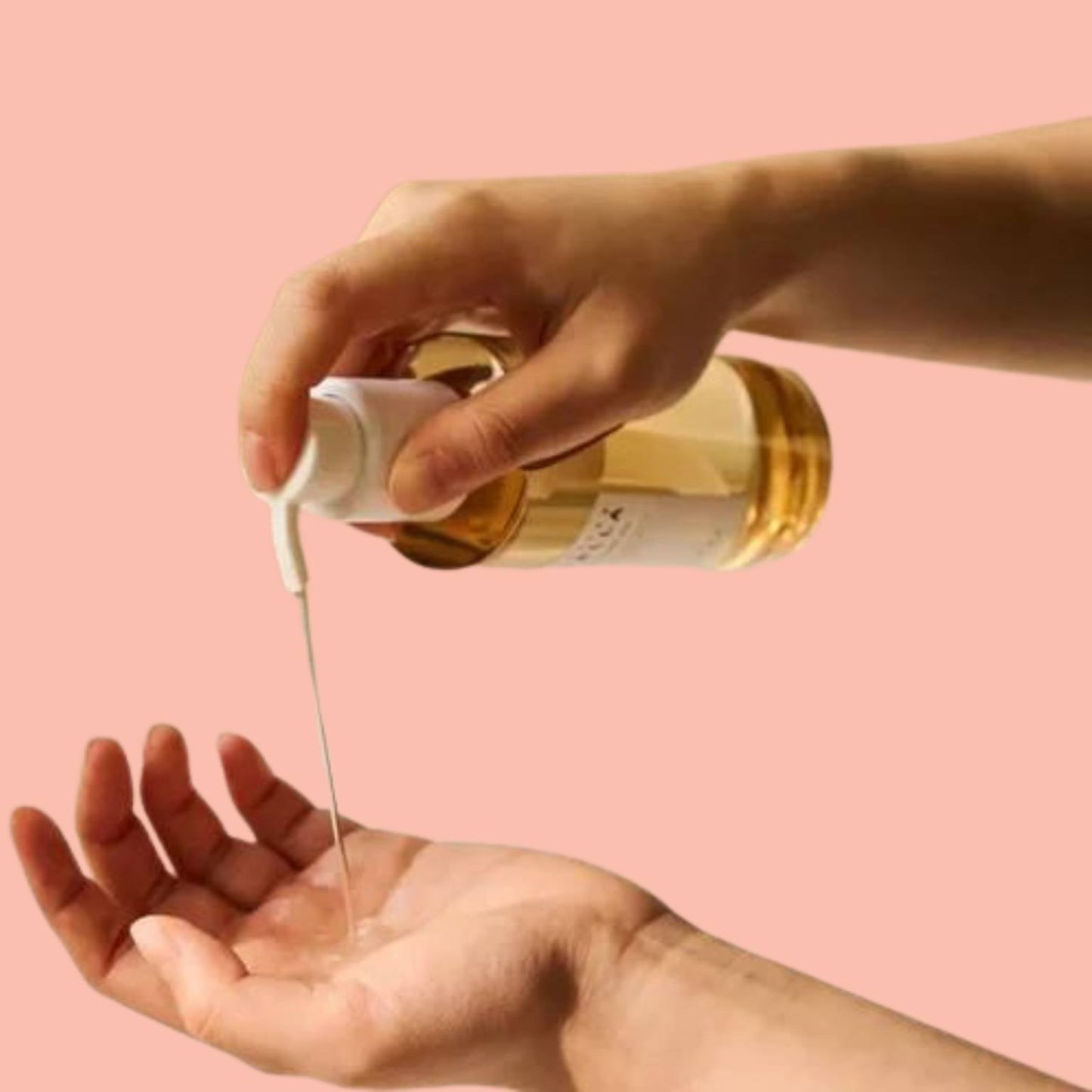 Centella de Madagascar